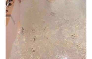 La maison du bonheur au cœur du Morvan - Foto 24