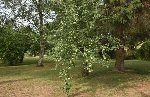 Wohnung in Alt Bukow mit Garten - Foto 57