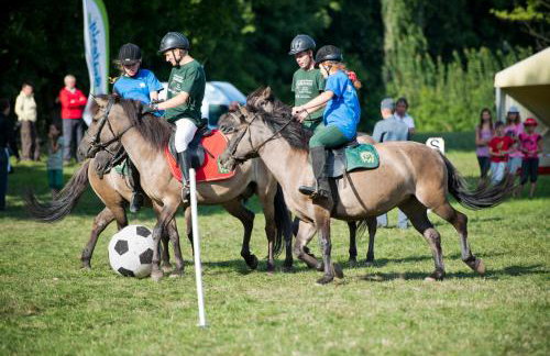 Domek Trolla - Foto 49