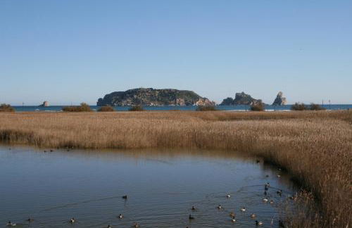 Apartamentos Brasil - Viu Bé - Foto 33