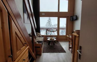 RESIDENCE LE RUITOR Duplex dernier étage vue panoramique classé 4 Cristaux Paradiski - Foto 43