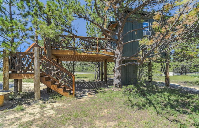 Tree Eagles Nest - Foto 31