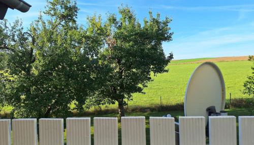 Haus an der Steinbachtalsperre - Foto 3, Garden view