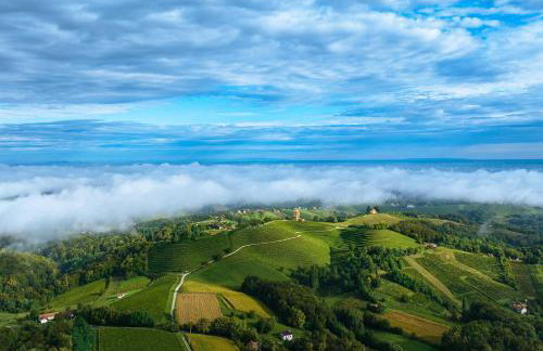 Villa Sole-kuća za odmor u Međimurju-Dragoslavec - Foto 64