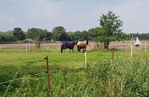 Ferienwohnung mit Tiny House - Foto 15