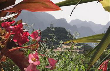 Casa Oliveira Esmeraldo - Guest Houses - Foto 12