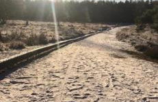 Ferienwohnung Ram 1 - Photo 51