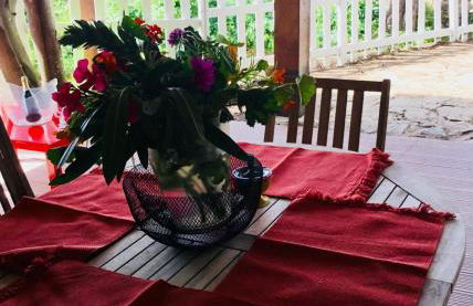 Les Terrasses Levantines - Foto 7