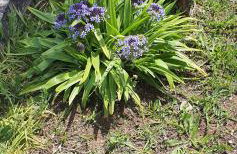 Villa Leone - Photo 44