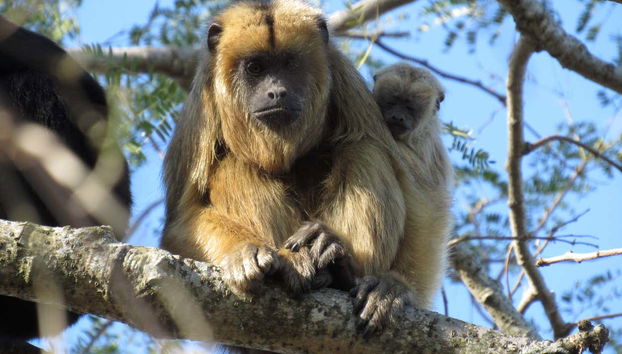 Tour in Avellaneda - Foto 4