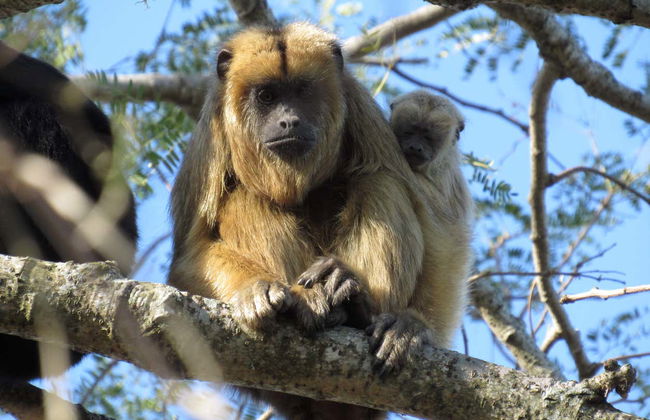 Tour in Avellaneda - Foto 4