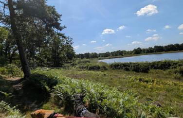 Gemütliches Ferienhaus im Grünen - Foto 8