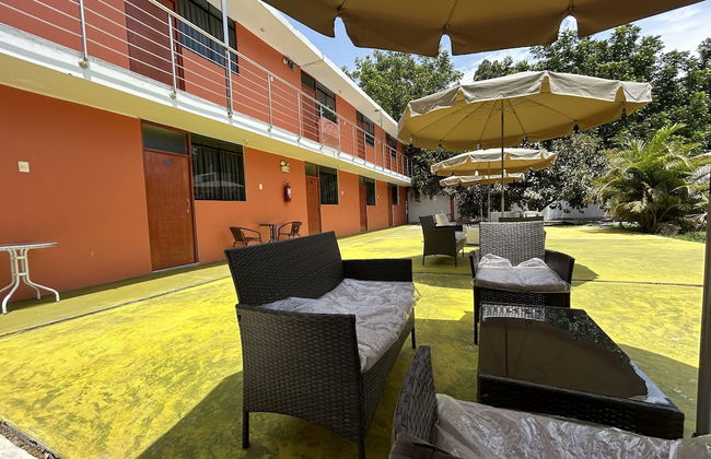 Ica adventures out of the woods - Photo 4