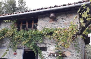 Flor de Pomar - Foto 27