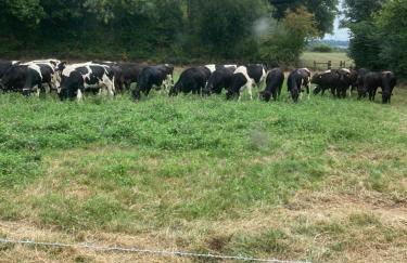 Romantic Country Cottage with Private Hot Tub - Foto 15