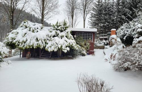 Dom w Górach Sowich Niedźwiedzia Gawra, Michałkowa - Foto 48
