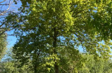 Casa da Assudra - Foto 52