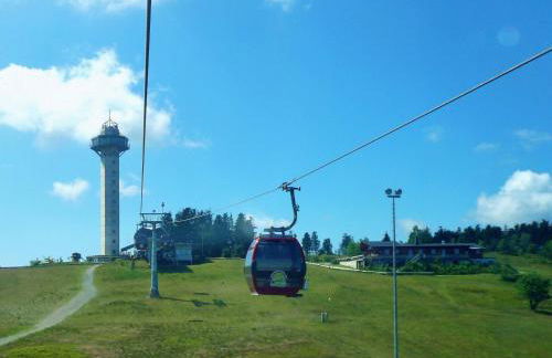 Ferienhaus Diemelquelle - mit eingezäuntem Garten - Foto 37
