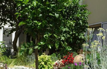 6-pax Apartment ON THE BEACH - TOP Floor, Great sea view, Parking ensured - Photo 36