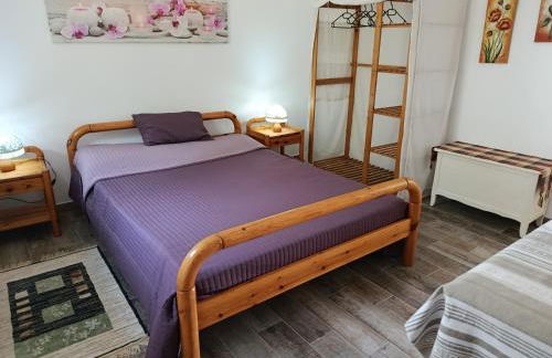 T2 Les Roses - Foto 10