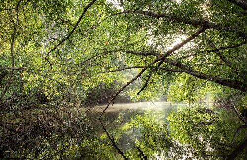Moinho da Fadagosa - Foto 11