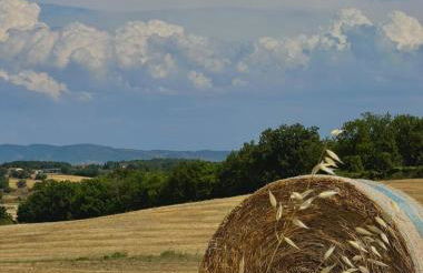 Casa MAZZINI - Foto 13