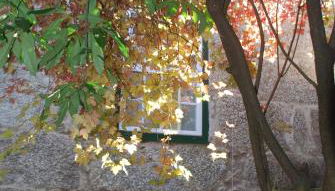 Refúgio de Calheiros - Foto 4, Garden view