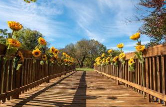 22-Acres Mansion - Pool Party Venue Games & More - Foto 75