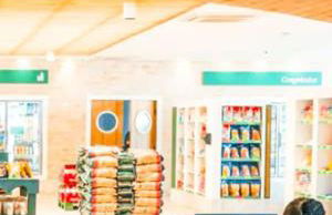 Casa em Pardinho Ninho Verde II - Photo 33