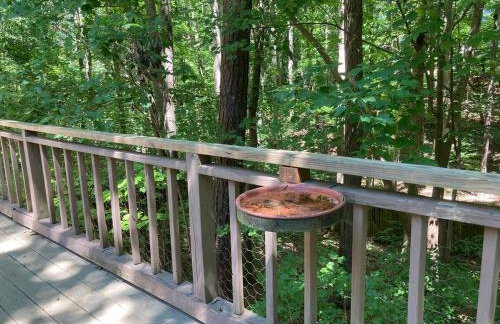 Stylish home in Apex near Raleigh - Foto 36