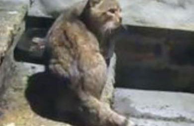 Granite Croft - Foto 17