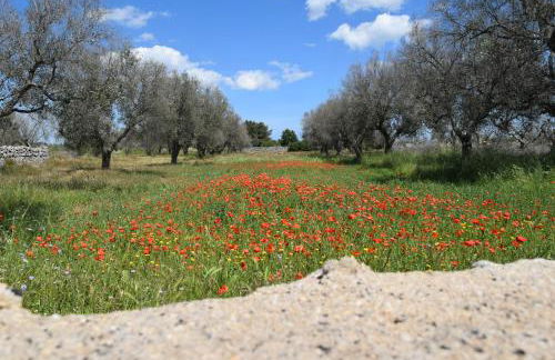 Villa Mios - Foto 43