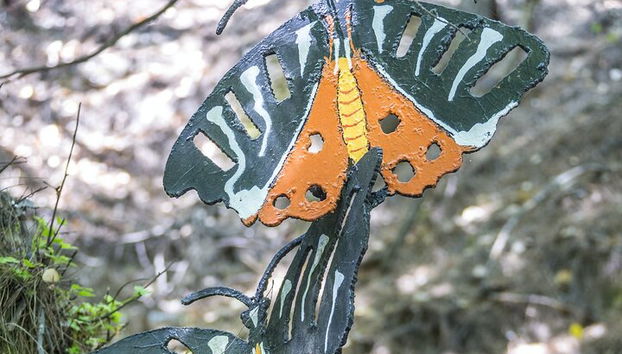 Tour di un'intera giornata con farfalle e barca all'isola di Chalki - Foto 3