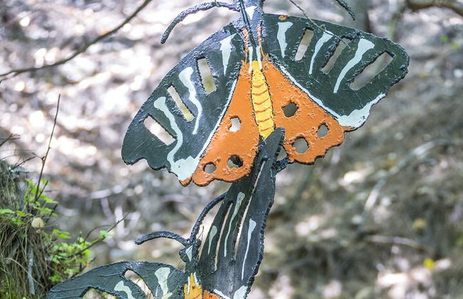 Tour di un'intera giornata con farfalle e barca all'isola di Chalki - Foto 3