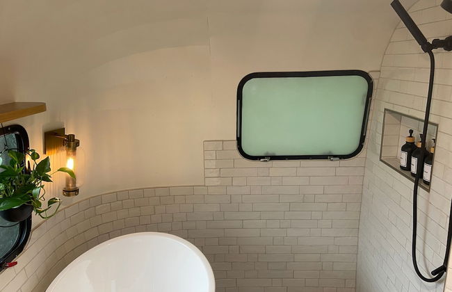 Creekside Fern in Pisgah Forest - Foto 30