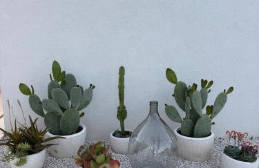 Casavella Vinjerac - Foto 11