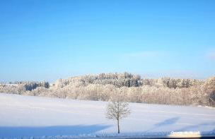 Ferienwohnung im Allgäu - Photo 27