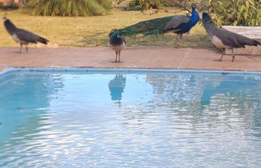 Ananda Multiverse Evolve 15' from the Botanical Garden - Foto 19