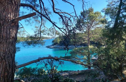 Studio apartment in Mali Losinj with terrace, air conditioning, WiFi, washing machine 4913-2 - Foto 11