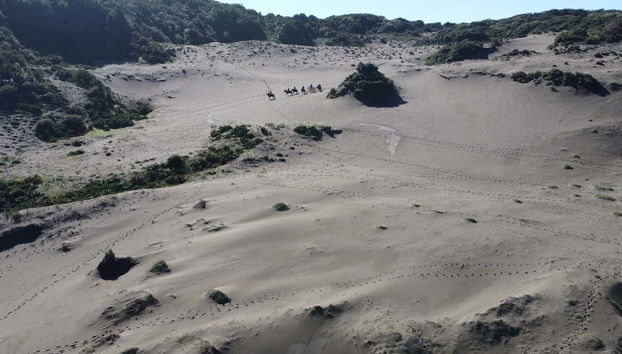 Dunas da praia Tricolor
