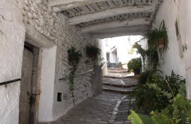 Tropical Studio - Foto 59