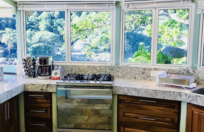 Family Vacation Home, 10 Miles From Downtown Pv Romantic Zone, Ocean Frontage - Foto 41