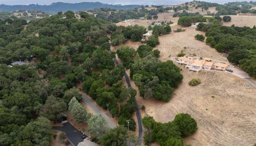 Mid-Mod Hilltop Retreat Views & Local Wildlife - Foto 3