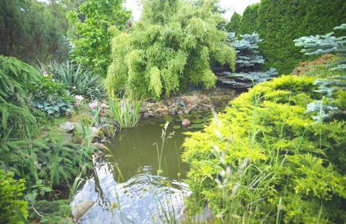 Villa Tapadla - Foto 30