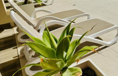 Calpe Beach II - sea & pool view apartment - Photo 13