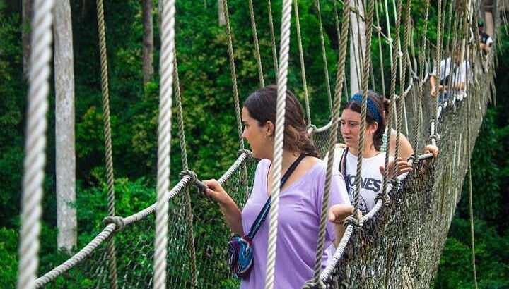 Excursión a Costa del Cabo - Foto 2, Pasarela del Parque Nacional Kakum