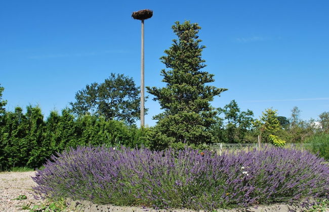 Holiday Home in Przew?oka With Forest - Photo 30