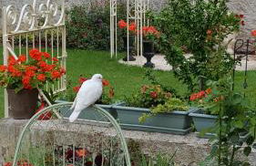 le logis medicis - Foto 23