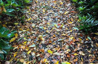 Lovely Carlung House - Foto 21