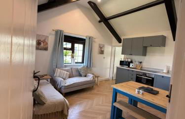 Cornflower - Photo 16